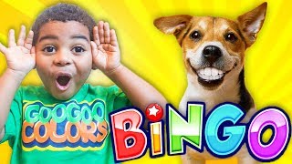 Bingo Song  More Songs With Lyrics [upl. by Cynara509]