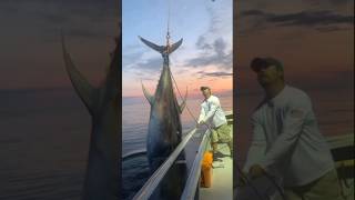 Dapet Tuna Monster Lagi fishingmancingikanmancingmaniamancingmaniamantap [upl. by Puff852]