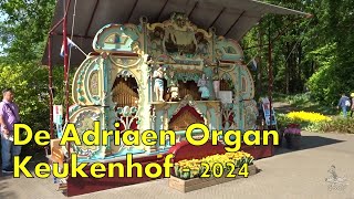 Street Organ De Adriaen at Keukenhof in the Netherlands  2024 [upl. by Ahsirtap]