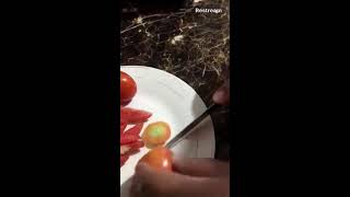 Slice Lycopene Rich Tomatoes for Good Health relaxing satisfying asmr live love happy [upl. by Allebram]