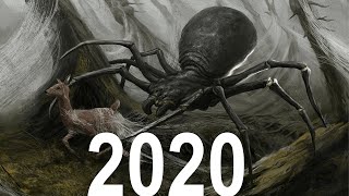 Evolution of Giant Spiders 19752020 [upl. by Joselyn614]