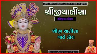 Shreeji Chalisa  શ્રીજી ચાલીસા  Shreeji Chalisa  Ravin Nayak  Kundaldham [upl. by Joli]