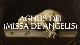 Agnus Dei  Catholic Latin Hymn [upl. by Eiliab678]