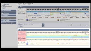 Comparing genes and species in Ensembl [upl. by Gney974]