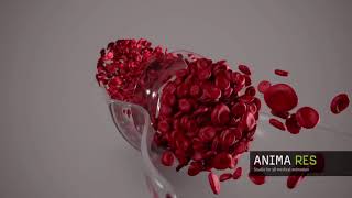 3d animated blood flow Windkessel effect [upl. by Suirada]