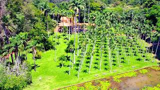 Voo Sobre o Paraíso VerdeExplorando a Floresta Edmundo Navarro de Andrade em Rio Claro SP [upl. by Ainorev]