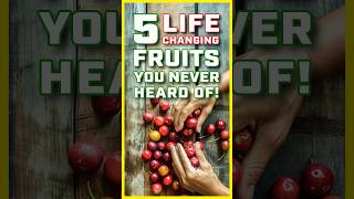 5 LifeChanging Super Fruits You’ve Never Heard Of [upl. by Enajyram259]