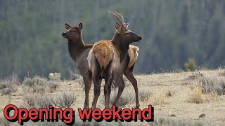 OTC archery elk hunt Colorado back country [upl. by Jelks998]