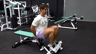 Anterior Tibialis Raise  Machine  Seated [upl. by Grannias520]