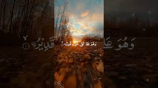 Surah Tabarakallazi  Incredible Quran Recitation Moments Mashallah Allahu Akbar shorts quran [upl. by Asset173]