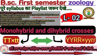 Monohybrid cross and Dihybrid cross  Bsc first semester zoology [upl. by Demetris]