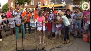 Zomer in Gelderland in Dinxperlo [upl. by Attenna]