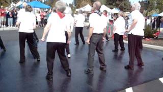 Accentuate the Positive  Line Dancing at Larkspur Festival 20110604 003MPG [upl. by Haskel]