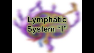 Histology of Lymphatic system quotpart Iquot thymus amp lymph node [upl. by Gluck]