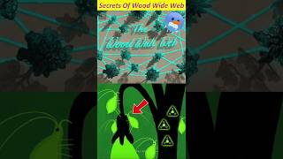 Secrets of wood wide web 😯  shorts youtubeshorts ytshorts [upl. by Jovitah]