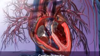 Cardiac Output and How to Calculate It  Visible Body [upl. by Anoiek953]