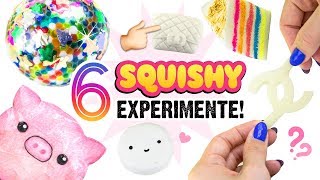 RIESEN SQUISHY EXPERIMENT 6 DIY SQUISHIES aus Silikon Papier Hitohada Gel Squishys Selbermachen [upl. by Happy]