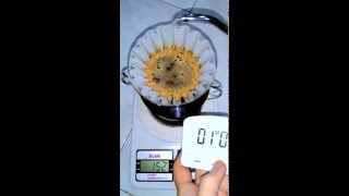 Manual Brew  Kalita Wave 185  Tentang Kopi [upl. by Ahsino]