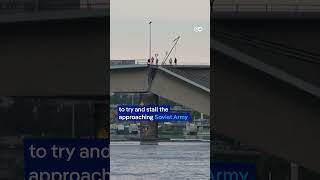 Bridge collapses into river in Germanys Dresden  DW News [upl. by Eniamert]