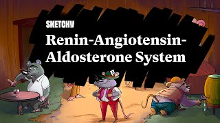 ReninAngiotensinAldosterone System Part 1  Sketchy Medical  USMLE Step 1 [upl. by Suellen]