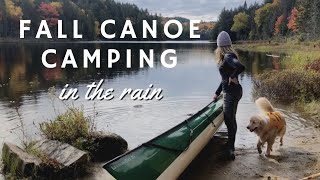 Fall Canoe Camping in the Rain Algonquin Park [upl. by Jessamyn]