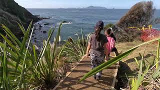 Mangawhai Coastal Walkway tracking Part 3 [upl. by Ecaroh363]