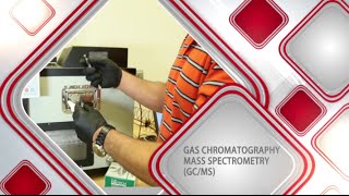 Gas ChromatographyMass Spectrometry [upl. by Darrow849]