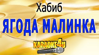 Ягода малинка  Хабиб  Кавер минус [upl. by Florina646]