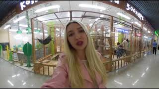 Kristina visits the petting zoo Watch her video 360 now [upl. by Nosyk188]