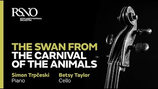 SaintSaëns The Swan from The Carnival of the Animals – Simon Trpčeski amp Betsy Taylor [upl. by Aitret]