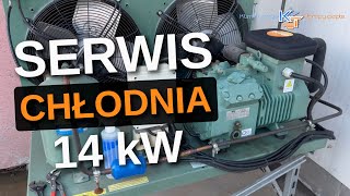 Chłodnia 14kW Usterka nie chłodzi nie włącza się Serwis część I Pompa ciepła szwankuje [upl. by Rawdin567]