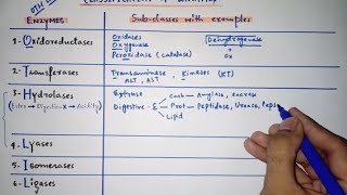 Enzyme classification with subclasses amp examples  Only in 5 minutes  Mnemonics [upl. by Analaj]