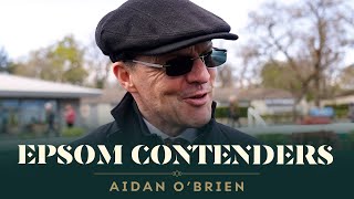 Aidan OBriens 2024 Betfred Derby Festival contenders including City Of Troy [upl. by Fredric]