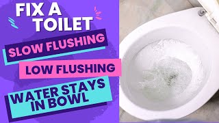 Toilet Wont Flush  Slow Flushing Toilet  Water Stays in Bowl [upl. by Nelag]