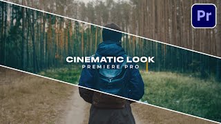 Cinematic Look Premiere Pro  Color Grading Tutorial [upl. by Josias]