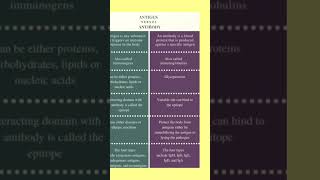 Difference between Antigen amp Antibody antigen antibody biochemistry immunoglobulins viralshorts [upl. by Michaela]