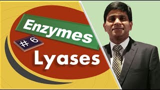 Lyases Enzyme class 4 Enzyme classification and nomenclature IUB biochemistry [upl. by Zerelda]