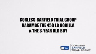 Harambe the Gorilla amp the 3 Year Old Boy [upl. by Yrovi]