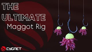 How To Tie A Maggot Rig For Carp  Wafter Maggot Rigs  Winter Carp Fishing [upl. by Winthrop874]