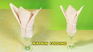 CARDINAL HAT TABLE NAPKIN FOLDING IN THE GLASS TUTORIAL [upl. by Ayitahs]