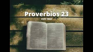 Proverbios 23  Reina Valera 1960 Biblia en audio [upl. by Asus]