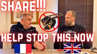 STOP Asian Hornets getting to the UK ASIAN HORNET France and Jersey got it WRONG [upl. by Naitsirhc138]