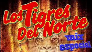 Las Más Románticas de Los Tigres Del Norte 20 EXITOS  Mejores artistas para escuchar 2024 [upl. by Negah]