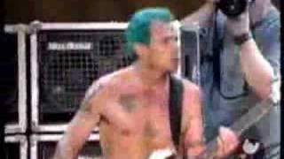 Red Hot Chili Peppers  Easily live  Woodstock 99 [upl. by Anitroc388]