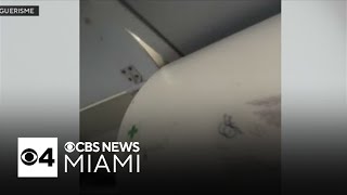 Passengers to return to Fort Lauderdale after Haiti flight disrupted by gunfire [upl. by Enelcaj829]