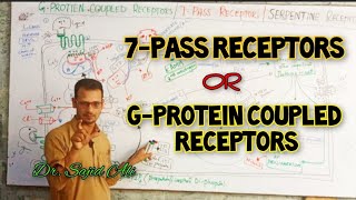 Receptors  7Pass Receptors  GProtein Coupled Receptors [upl. by Shayna]