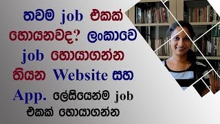 How To Find A Job In Sri Lanka Sinhala  Be Free [upl. by Huntlee]