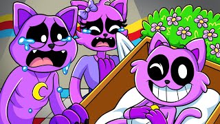 WHO KILLED CATNAP´S KITTEN Poppy Playtime Animation [upl. by Ikeda]