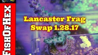 That Fish Place Frag Swap 12817 [upl. by Dowzall299]