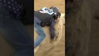 Mutton’ busting at Folsom Pro Rodeo [upl. by Zeph]